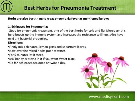 Best Herbal Remedies For Pneumonia