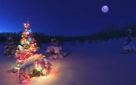 Christmas Tree Windows 10 Theme Themepackme