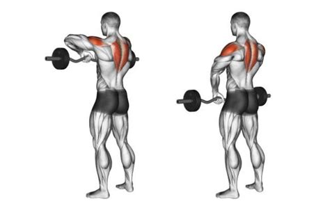 Upright Barbell Row Fitness Workouts And Exercises