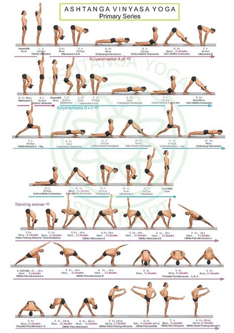 Benefits Of Yoga Ashtanga Vinyasa Yoga Vinyasa Yoga Ashtanga Yoga Primary Series