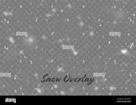 Vector Snowfall Isolated Winter Background Snow Overlay Illustration