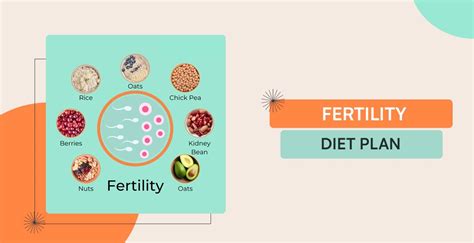 Fertility Diet Plan And Its Benefits For Women Trying To Conceive