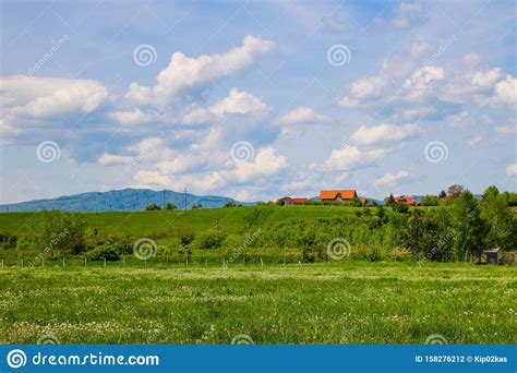 Green Grass Field On Small Hills And Blue Sky With Clouds Stock Photo