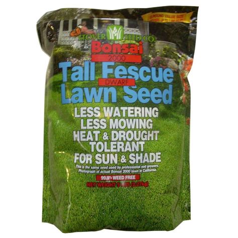 Seedranch Kentucky 31 Tall Fescue Grass Seed 50 Ubicaciondepersonas