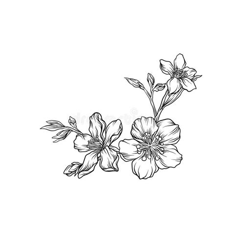 Hand Drawn Flower Branch Monochrome Floral Design Element Vector