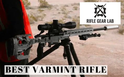 Best Varmint Rifle Top 233 Guns For The Money 2024 Review