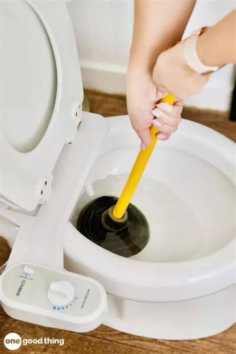 How To Unclog A Toilet 4 Easy And Effective Methods Artofit