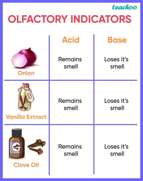 What Are Olfactory Indicators Give Examples Teachoo Teachoo Quest