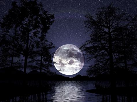 Download Silhouette Lake Sky Tree Night Artistic Moon Hd Wallpaper