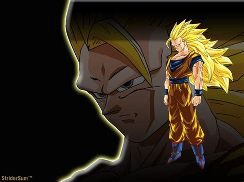 10 Top Goku Super Saiyan 3 Wallpaper Full Hd 1080p For Pc Background 2023