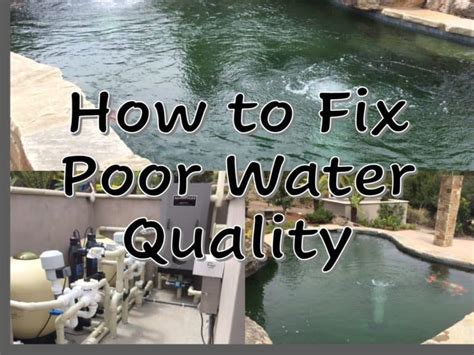 How To Fix Poor Water Quality Fish Vet