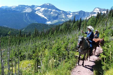 Trail Riders Of The Canadian Rockies Horseback Riding Vacation In Canada