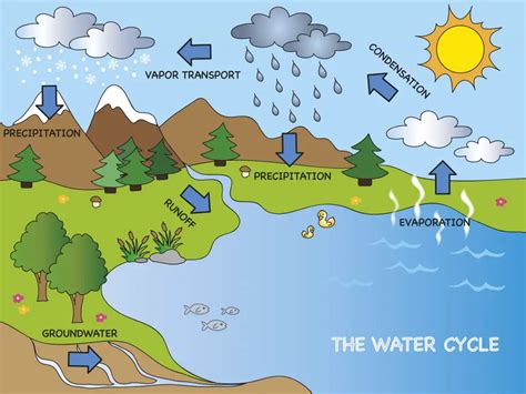 Water Cycle Education Site