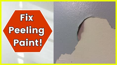 How To Fix Peeling Paint On Walls Youtube