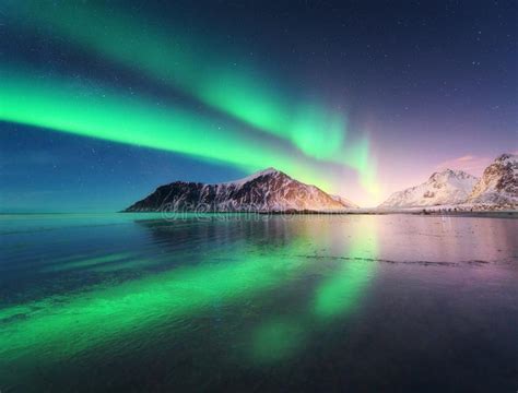 Northern Lights On The Beach In Lofoten Islands Norway Stock Image