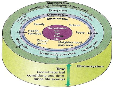 Figure 1 From The Impact Of Colonisation On The Maori Community An