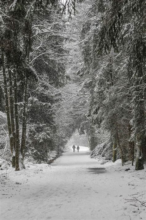 Online Crop Hd Wallpaper Two Person Walking On Snowfield Surrounded