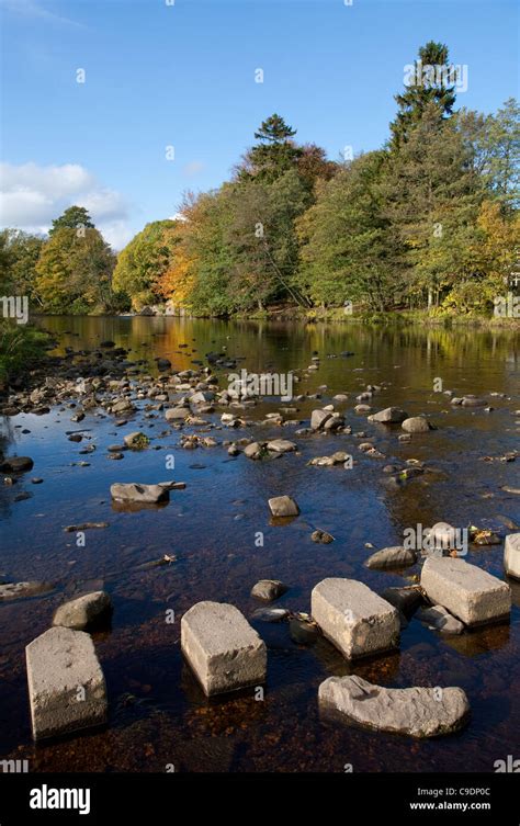 Stepping Stones Across River Wear Stanhope Weardale County Durham