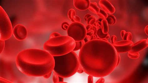 How To Manage Low Hemoglobin Levels The Wellness Corner