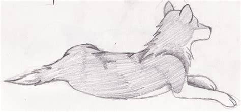 Wolf Laying Down Back View By Xxkat2008xx On Deviantart