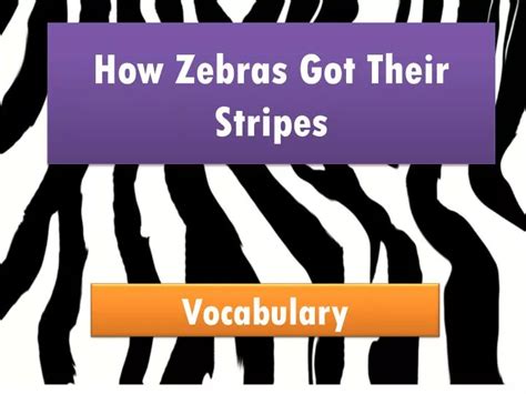 Ppt How Zebras Got Their Stripes Powerpoint Presentation Free