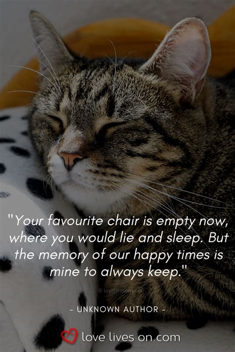 50 Beautiful Loss Of Pet Quotes Pet Quotes Cat Cat Loss Quotes