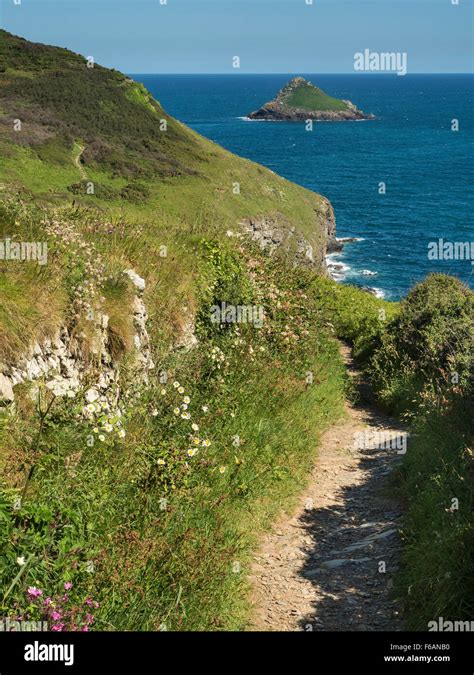 The South West Coast Path Near The Rumps And Pentire Point North