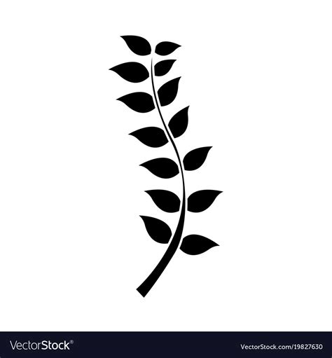 Silhouette Nature Branches Leaves Plant Design Vector Image