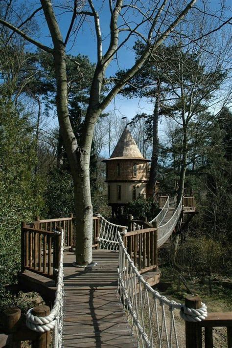 This Is The Kind Of Luxury Treehouse That Both Kids And