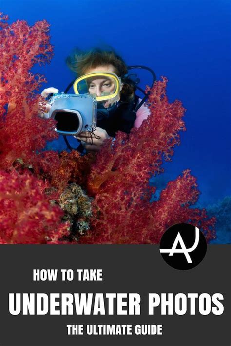 Quick Guide Lear How To Take Pictures Underwater With These Awesome 5