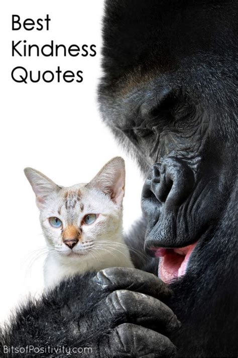 Searching for a famous kindness quote? Best Kindness Quotes
