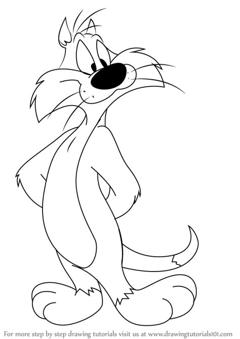 Step By Step How To Draw Sylvester From Looney Tunes