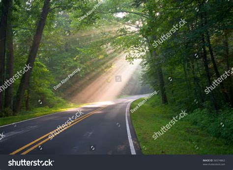 Road Through Forest With Light Beams And Sun Rays Through Green Trees