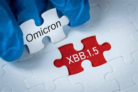 Omicron Xbb15 Kraken Subvariant Is On The Rise What To Know News