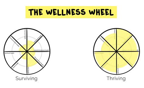 Wellness Wheel Worksheet — Db