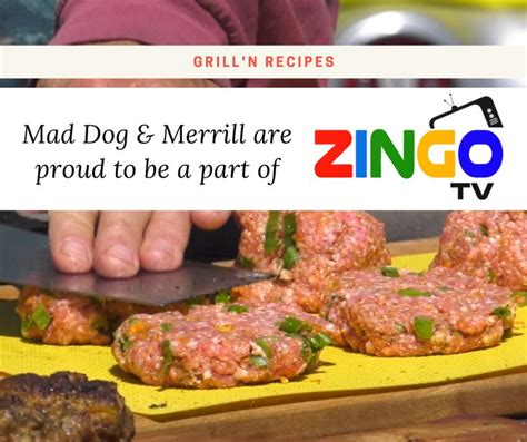 Mad Dog And Merrill Are Proud To Be A Part Of Zingo Tv
