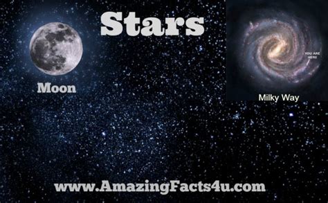 Stars Amazing Facts 4 U