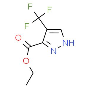 4 Trifluoromethyl 2H Pyrazole 3 Carboxylic Acid Ethyl Ester CAS
