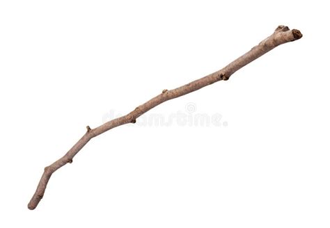 638657 Twig Stock Photos Free And Royalty Free Stock Photos From