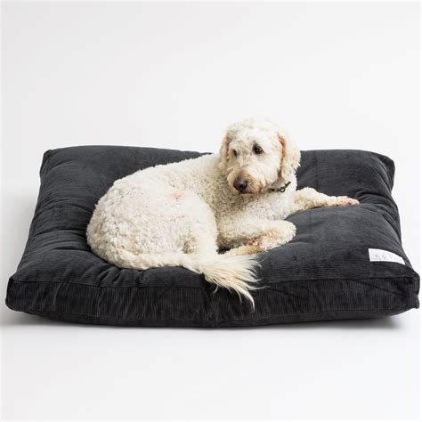 Fancy Dog Beds Nz Life Of Riley Luxury Dog Mattress Large Dog Bed Dog
