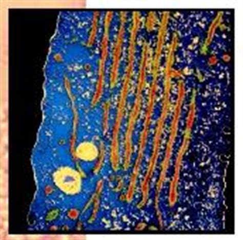 Maybe you would like to learn more about one of these? Endoplasmic Reticulum - Biology Encyclopedia - cells, body ...