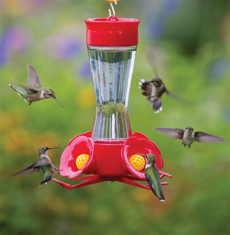 Best Selling Four Flower Frolic Hummingbird Feeder