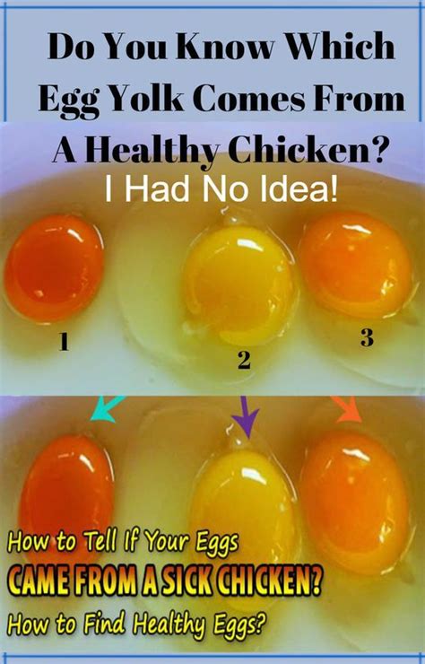 We toss them on top of salads, bash them up for egg salad sandwiches, and eat them as snacks with a little salt and pepper. Can You Tell a Healthy Chicken from the Egg Yolk Color? # ...