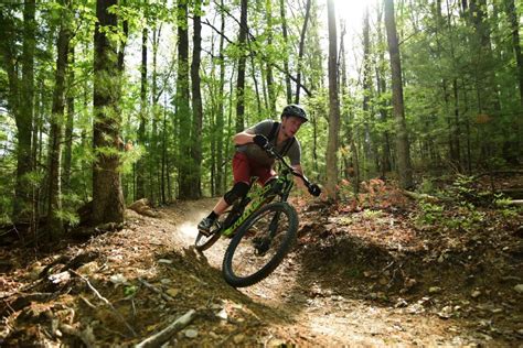 We did not find results for: Greenbrier State Forest - West Virginia State Parks - West ...