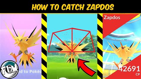 The only attacking move zapdos knows is drill peck. How To Catch Zapdos In Pokemon Go | Pinwheel | My First ...