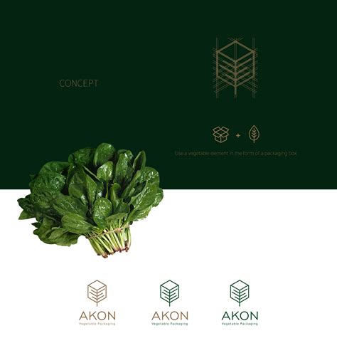 Ready to be used in web design, mobile apps and presentations. AKON LOGO on Behance