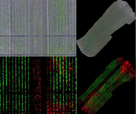 Overlay Segmentation Mask Over Orthomosaic ODM OpenDroneMap Community