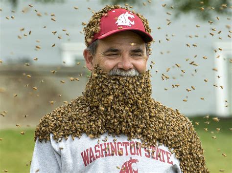 Washington State Provost Grows Bee Beard To Raise Cash For Bee Center