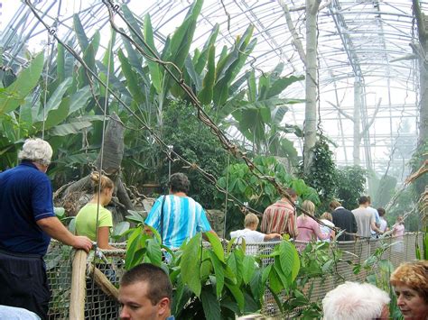 Na našich prodejnách máme velký výběr živých zvířat. ZOO Zlín - Lešná - otevírací doba, vstupné, ubytování ...