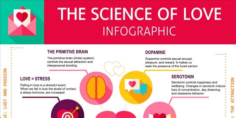 The Science Of Love Infographic Infogram